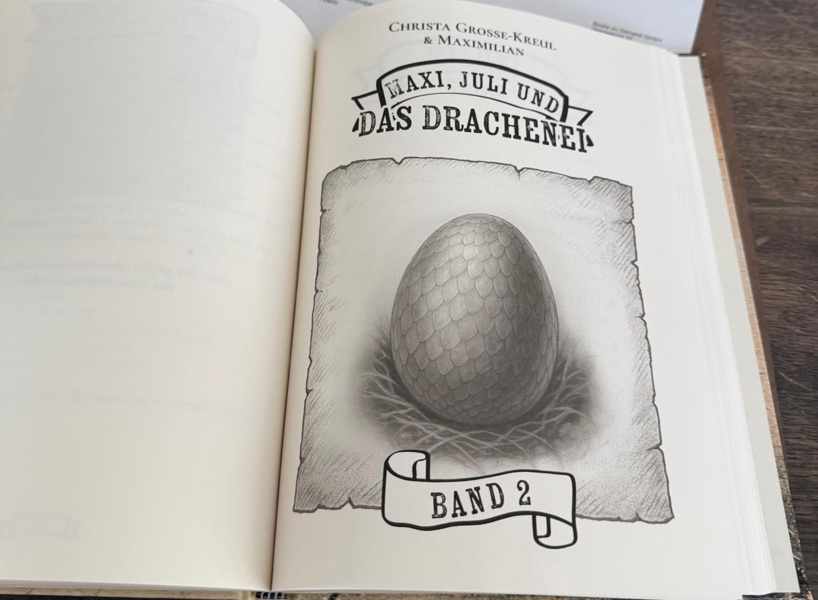 "Das Geheimnis des Drachenbergs", ein Drachenbuch für Kinder hier Das Drachenei-Band 2.